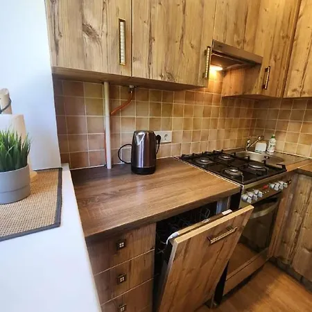 아파트 Zalgirio 1buto Apartamentai *